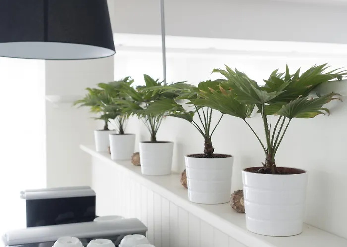 Atlantic Riviera Mare Misano Adriatico